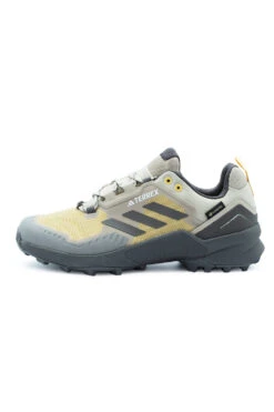 Adidas Terrex Adidas Terrex Swift R3 GTX (GORE-TEX) Shoe Wonder Beige / Charcoal / Semi Spark