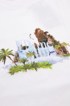 Skate Verkauf -Skate Verkauf dime classic waterfall t shirt white 02