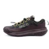 Nike ACG Nike ACG Mountain Fly 2 Low GTX Shoe Velvet Brown / Black