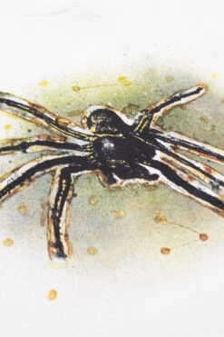 Polar Skate Co. Polar Skate Co. Green Spider T-Shirt White -Skate Verkauf polar skate co green spider t shirt white 03